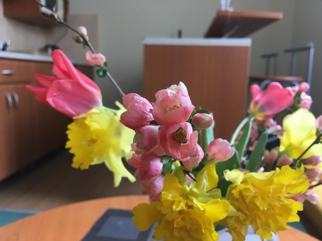 Apartman Darmon Piest'any Dış mekan fotoğraf